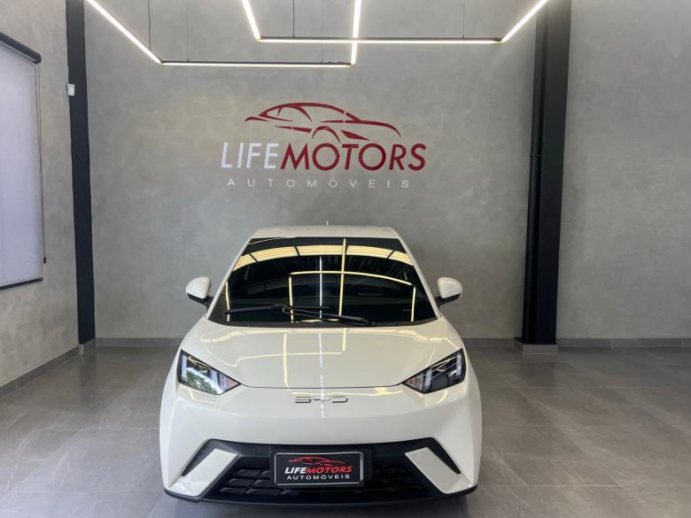 BYD - BYD/DOLPHIN MINI GS EV