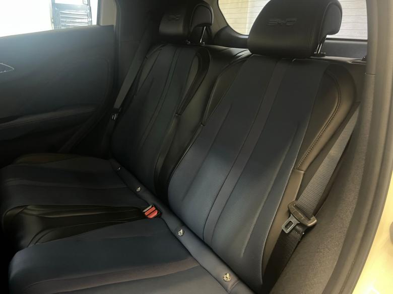 BYD - BYD/DOLPHIN MINI GS EV