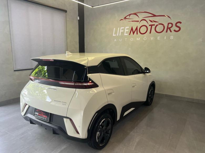 BYD - BYD/DOLPHIN MINI GS EV