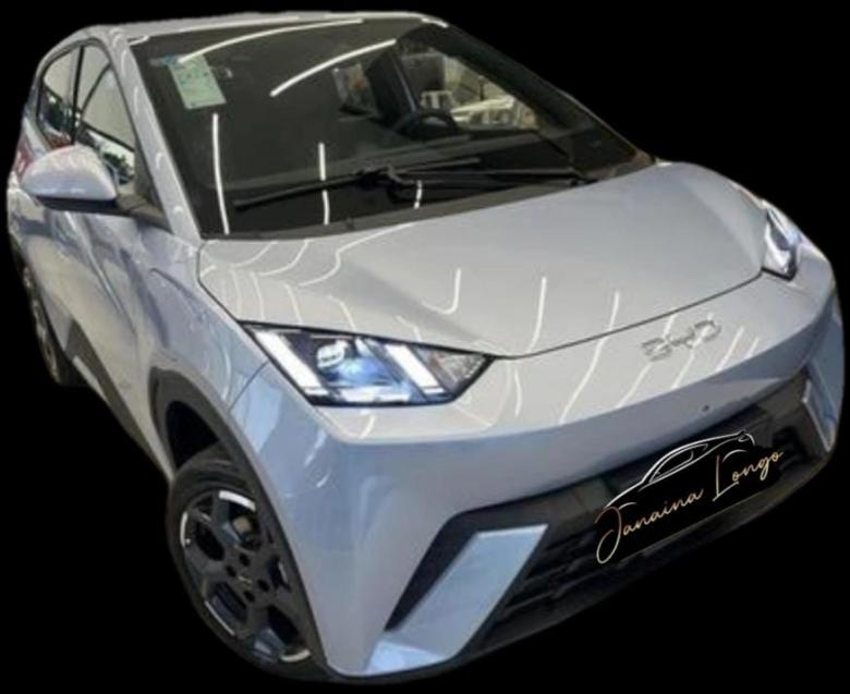 BYD - Byd Dolphin Mini 38 KW 5L 2025