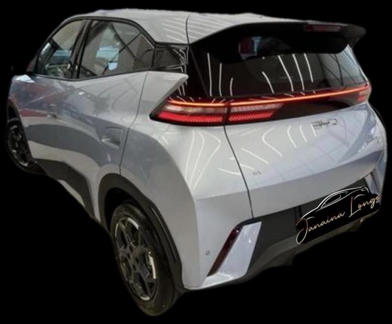 BYD - Byd Dolphin Mini 38 KW 5L 2025